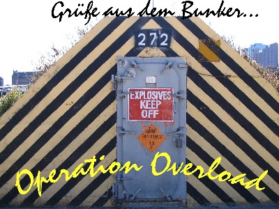 operation holdienudel