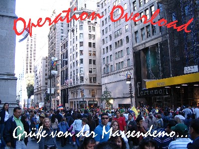 operation holdienudel