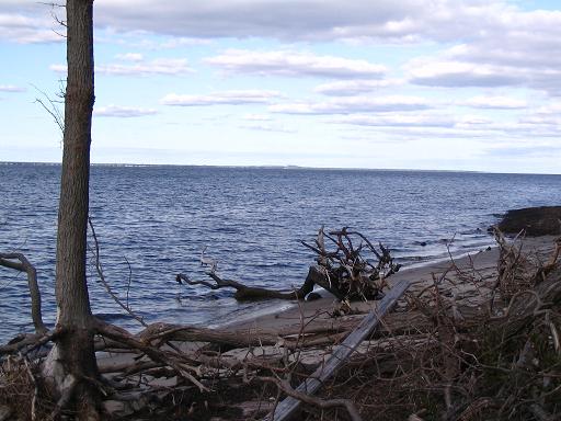 strand