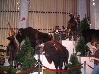 zoo