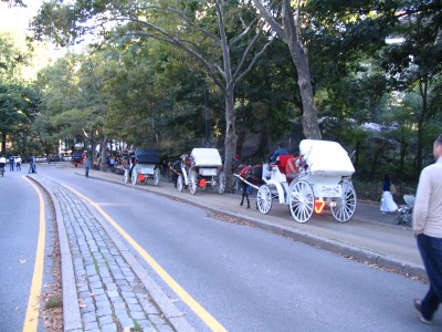 public