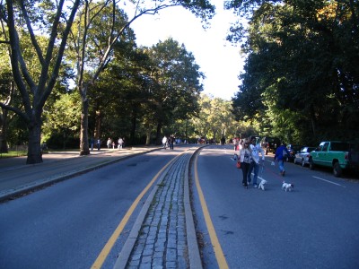 parkdrive