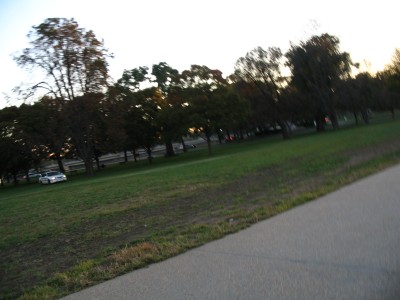 police in park