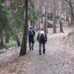 IMG_7671 im Wald