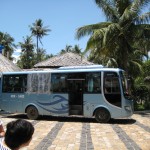 der Bus des Grauens