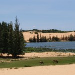 Tag 16 - die weißen Sanddünen von Mui Ne
