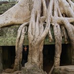 Tag 20 - Kambodscha - die atemberaubenden Tempelanlagen von Angkor